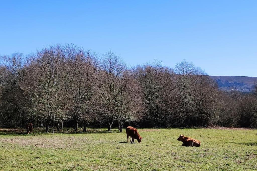 Casa Carmina: Casa Para Pequenos Grupos En El Corazon De Galicia O Irixo المظهر الخارجي الصورة