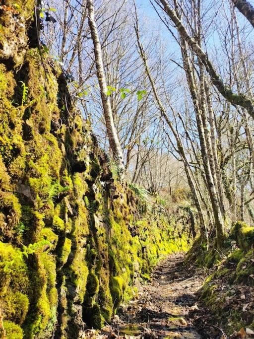 Casa Carmina: Casa Para Pequenos Grupos En El Corazon De Galicia O Irixo المظهر الخارجي الصورة